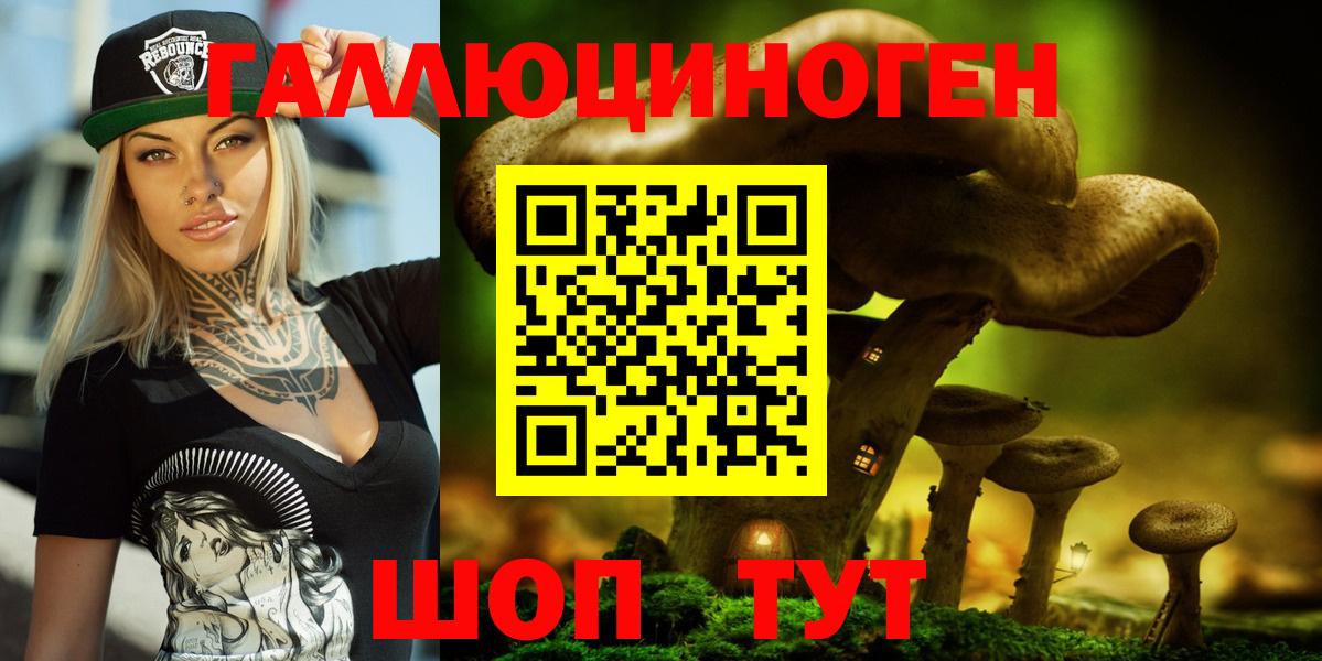 Ачинск  Галлюциногенные грибы Psilocybine cubensis  Вход с VPN  Галлюциногенные грибы прущие грибы 