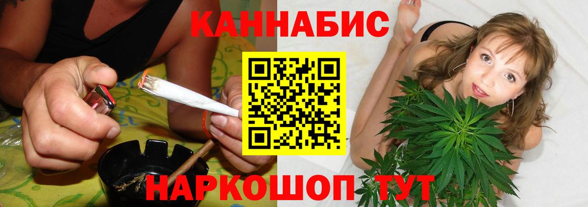 Конопля сатива Ачинск